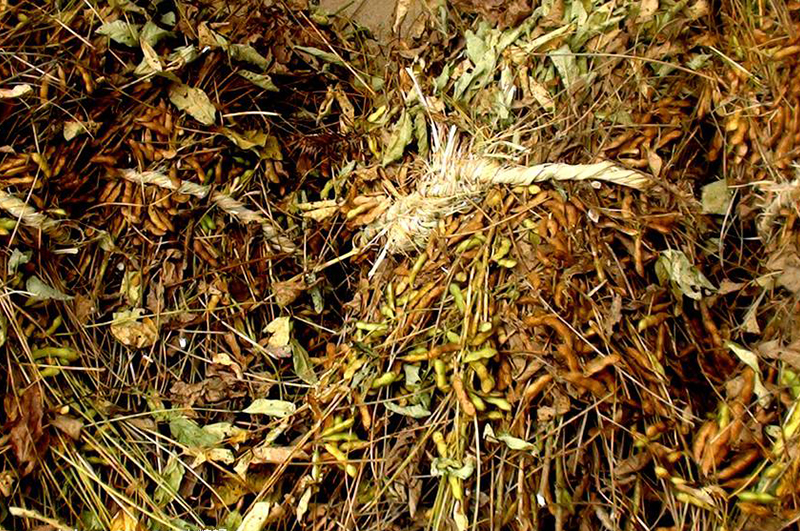 大豆秸稈-連續(xù)式炭化爐