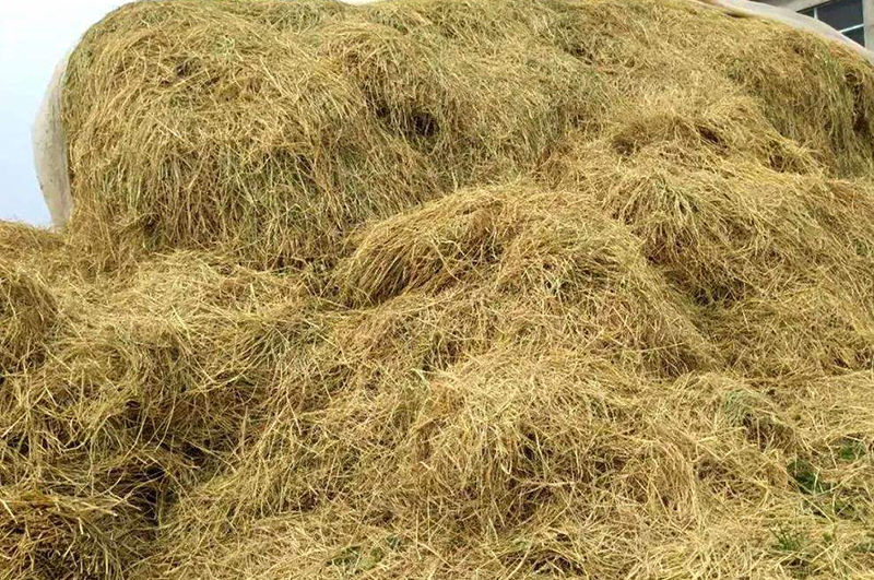 秸稈能做炭？秸稈炭化能做什么？秸稈連續(xù)式炭化爐前景如何？