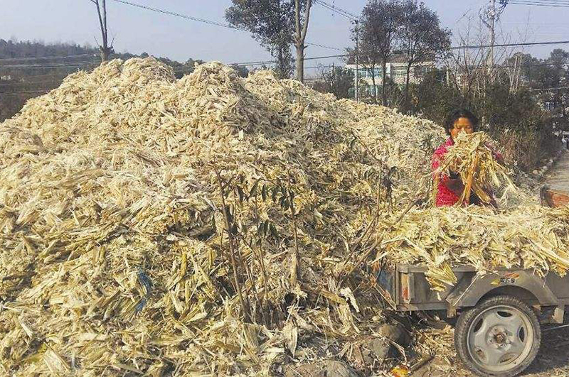 將甘蔗渣進(jìn)行炭化可以提升它的經(jīng)濟(jì)價(jià)值