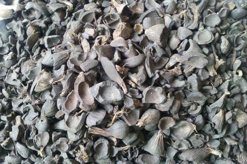 棕櫚殼能做燃料和活性炭，哪種利潤價值更高？