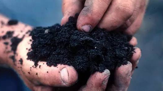 像桉樹(shù)皮，杉木皮這樣的原料，空隙大，重量輕，適用于深加工制作活性炭等。