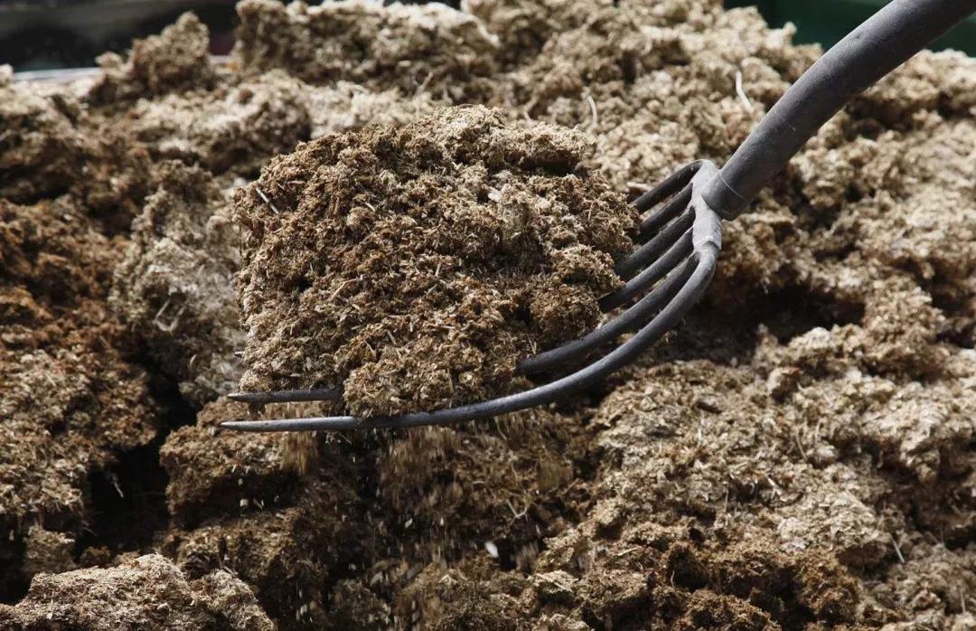 動物糞便碳化處理