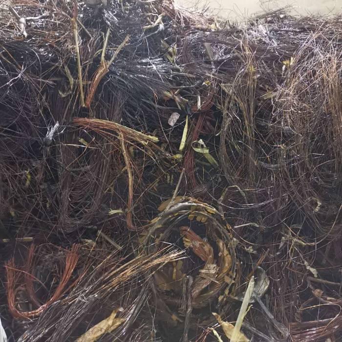 <strong>讓廢棄漆包線重?zé)ㄉ鷻C(jī)——連續(xù)式脫漆技術(shù)的應(yīng)用</strong>