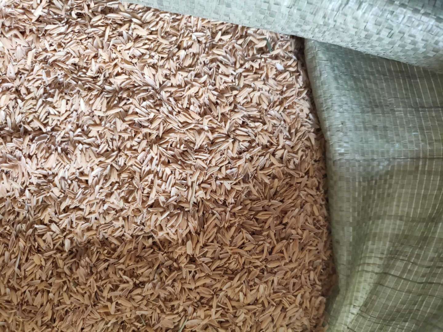 <strong>稻殼碳化：從農(nóng)田到工業(yè)利用的綠色轉(zhuǎn)化</strong>